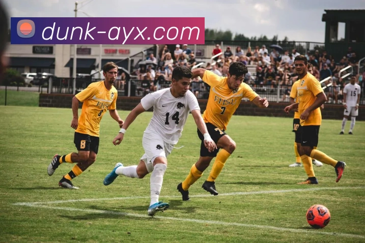 爱游戏APP 封面图